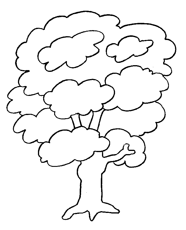 albero 1