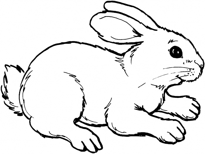 rabbit hunting coloring pages - photo #23